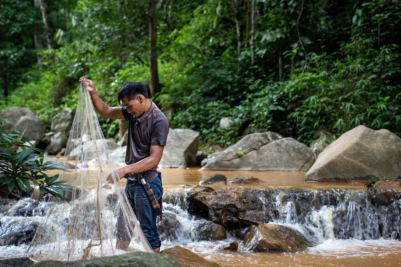 man, fishing, net, river, stream, rocks, nature, travel, man, fishing, fishing, fishing, fishing, fishing, net, net, stream, nature